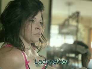 Ladyvelvet