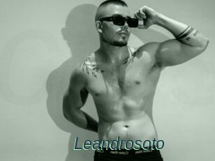 Leandrosoto