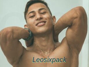 Leosixpack