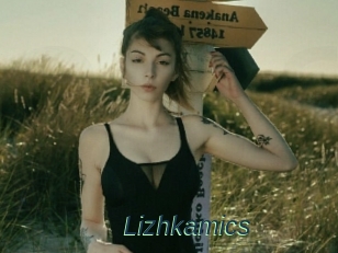 Lizhkamics