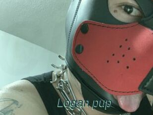 Logan_pup