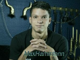 MaxHamintonn