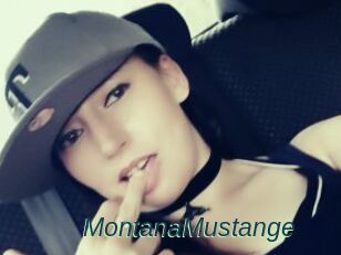 MontanaMustange