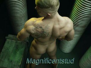 Magnificentstud