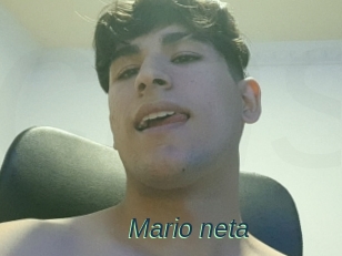 Mario_neta