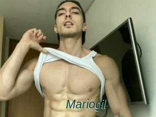 Mariogil