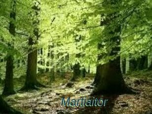 Martiaitor