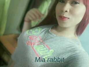 Mia_rabbit