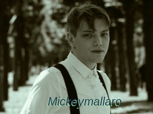 Mickeymallaro