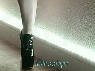 Mllesalope