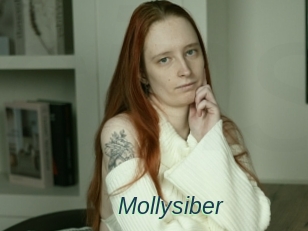 Mollysiber