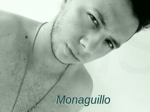 Monaguillo