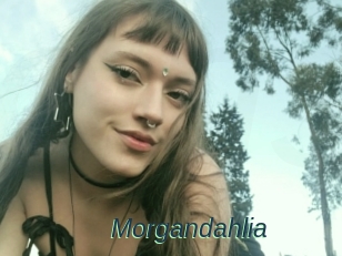 Morgandahlia