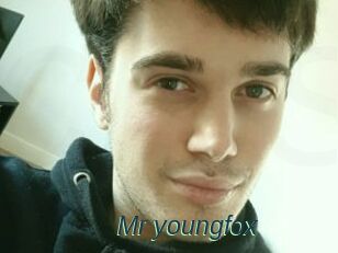 Mr_youngfox