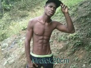 Mrdick20cm