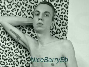 NiceBarryBb