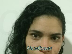 Nice_flower