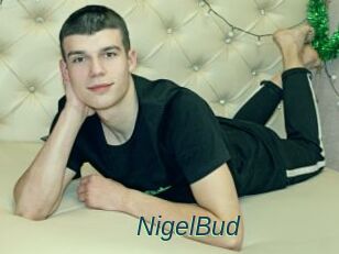 NigelBud