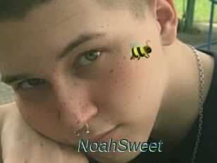 NoahSweet