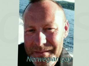 Norwegian_gay