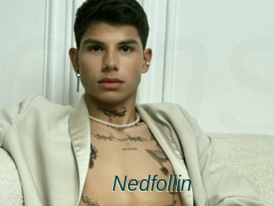 Nedfollin