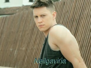 Neilgaviria