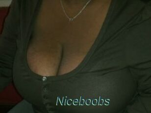 Niceboobs