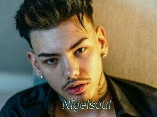 Nigelsoul