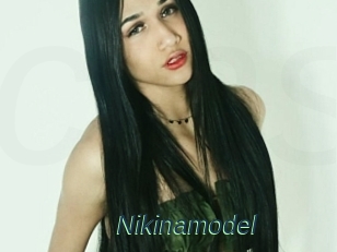 Nikinamodel