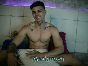 Noahmush