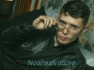 Noahsalvattore