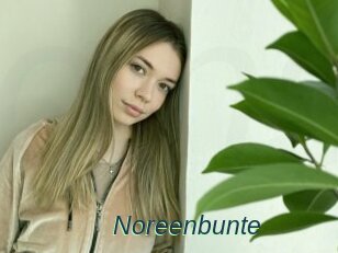 Noreenbunte