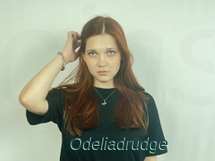 Odeliadrudge