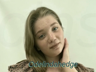 Odelindahedge