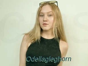 Odellagleghorn