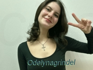 Odelynagrindel