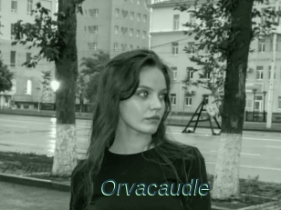 Orvacaudle