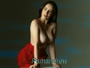 Pamandrew