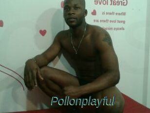 Pollonplayful