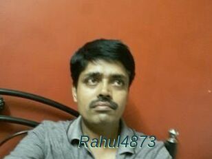 Rahul4873