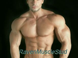 RavenMuscleStud