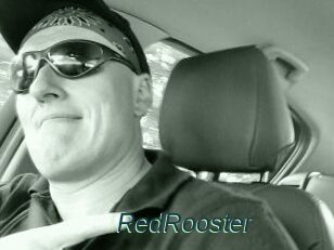 RedRooster