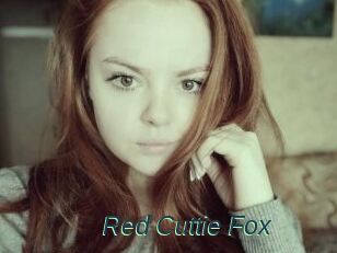 Red_Cuttie_Fox