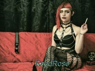 ReedRose