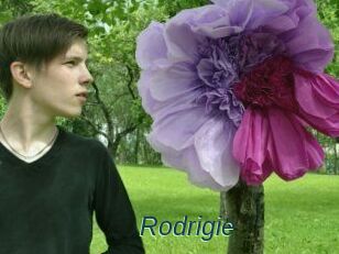 Rodrigie