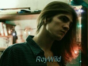 RoyWild