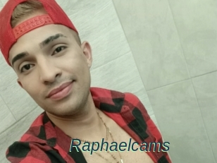 Raphaelcams