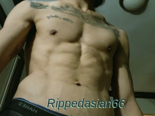 Rippedasian66