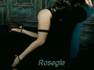 Rosegfe