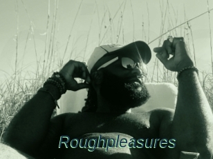 Roughpleasures